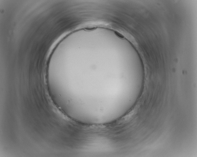 X0000076250912200610191645