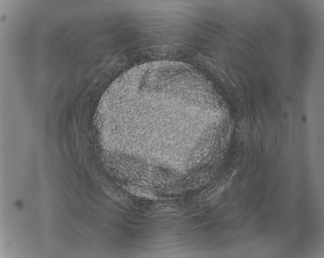 X0000076250913200610191645