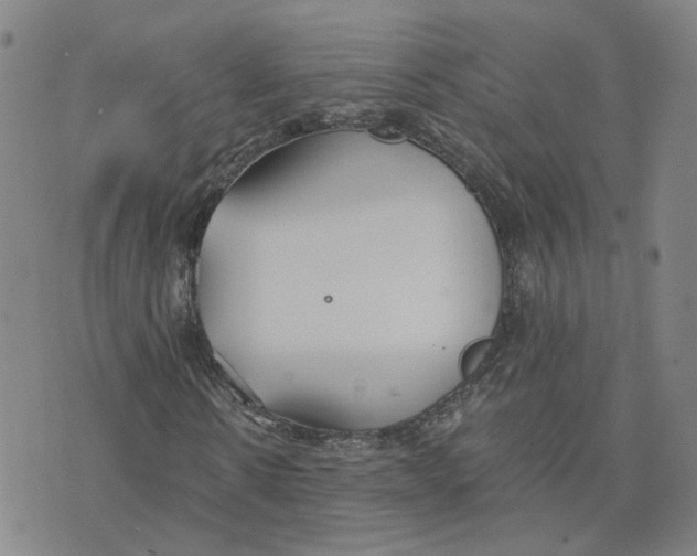 X0000076250914200610191645