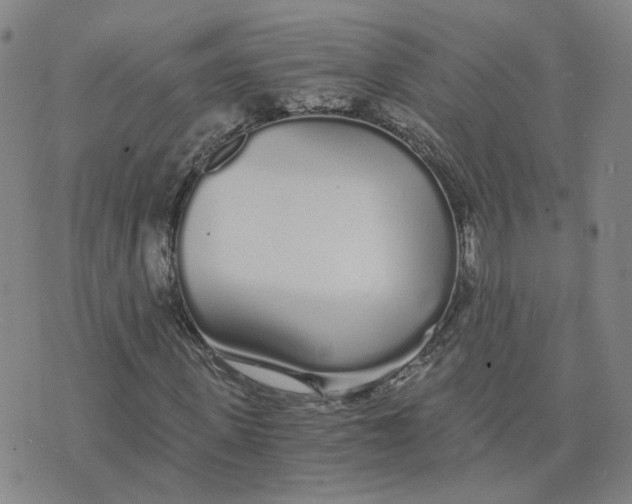 X0000076250915200610191645