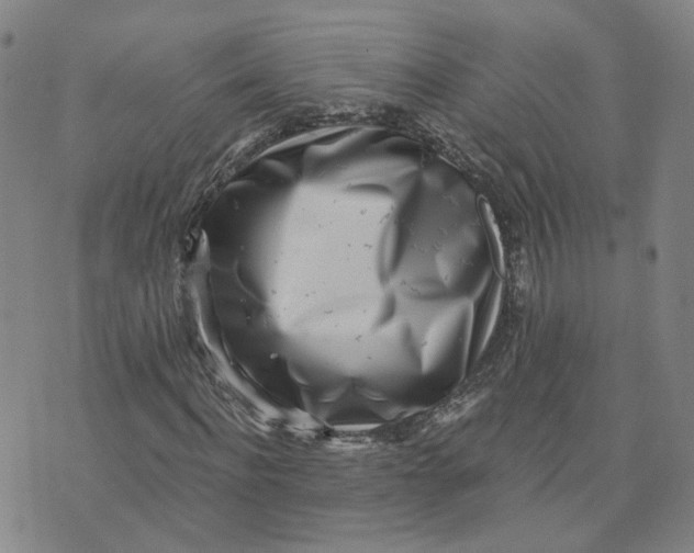 X0000076250916200610191645