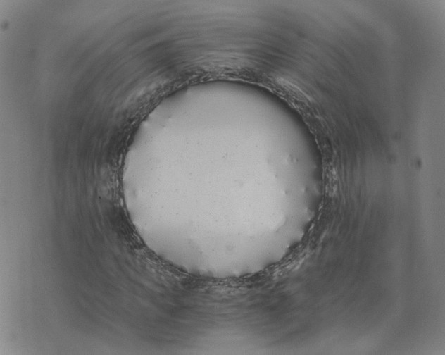 X0000076250917200610191645