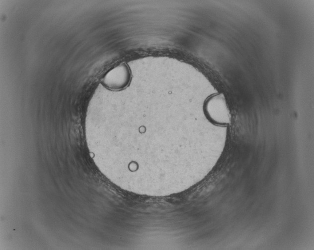 X0000076250918200610191645