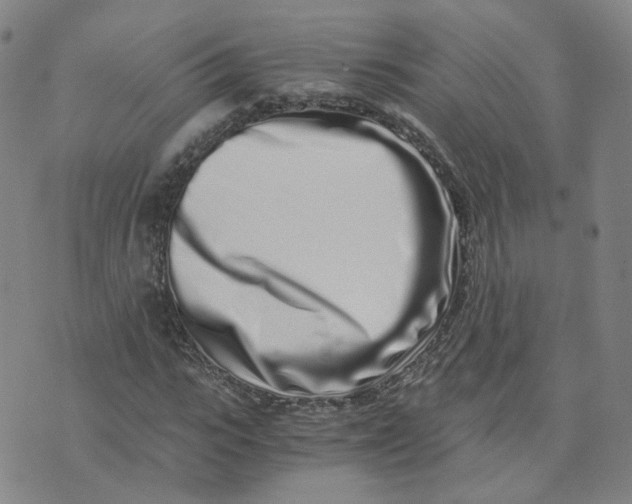 X0000076250919200610191645