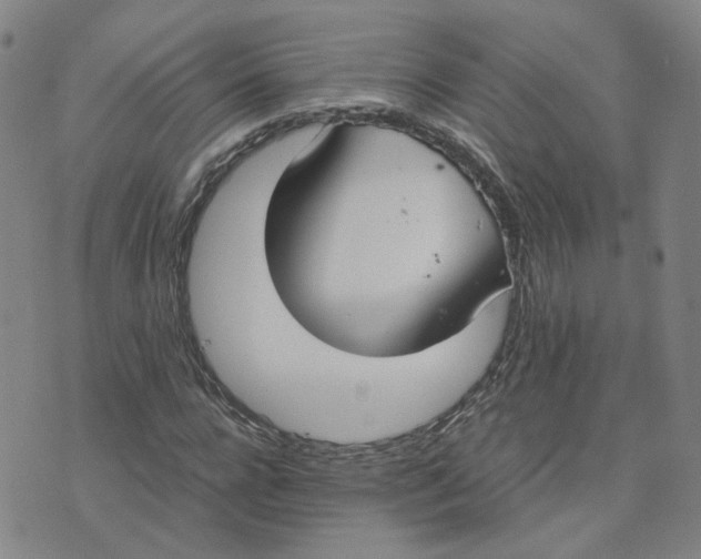 X0000076250920200610191645