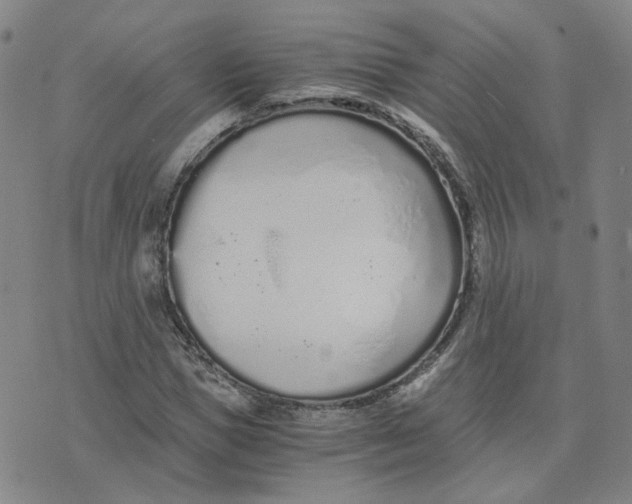 X0000076250921200610191645