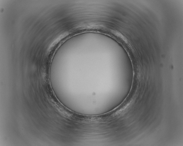 X0000076250922200610191645