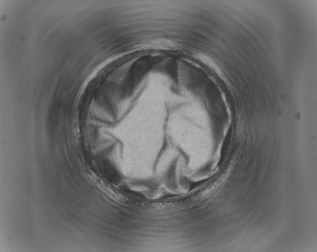 X0000076250923200610191645