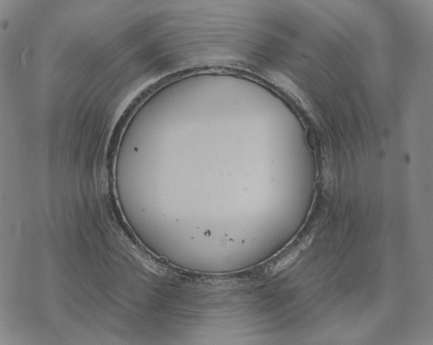 X0000076250924200610191645