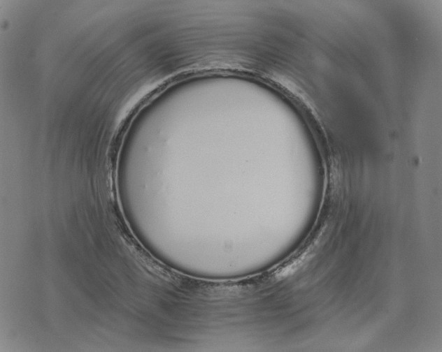 X0000076250925200610191645