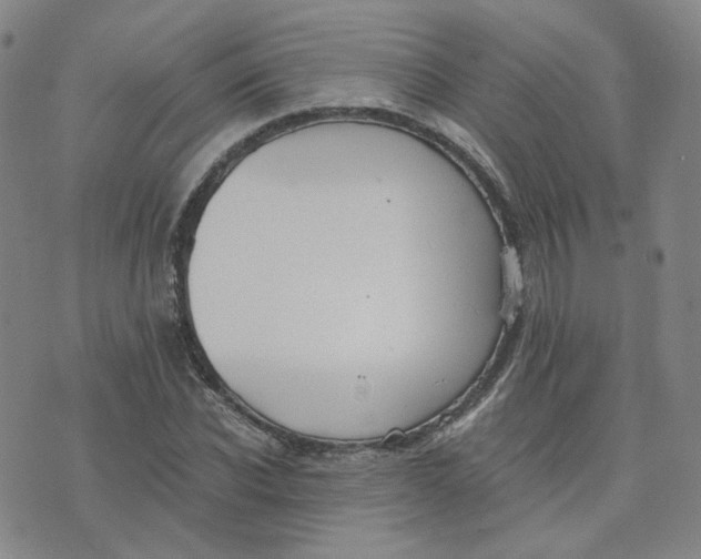 X0000076250926200610191645