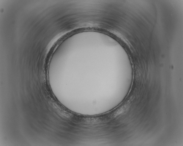 X0000076250927200610191645