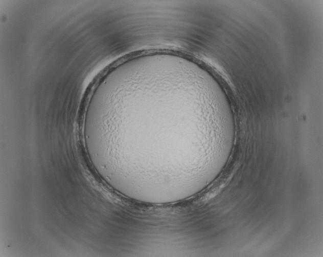 X0000076250928200610191645