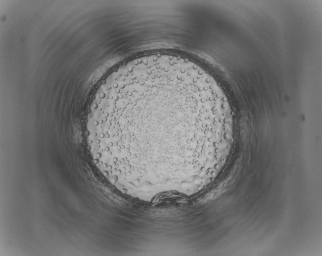 X0000076250929200610191645