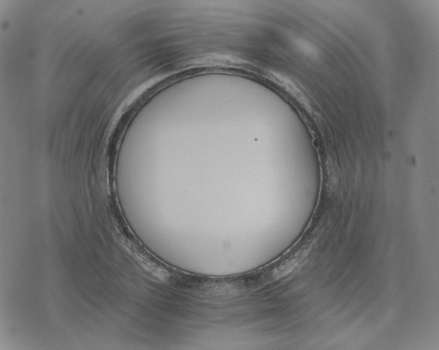 X0000076250931200610191645