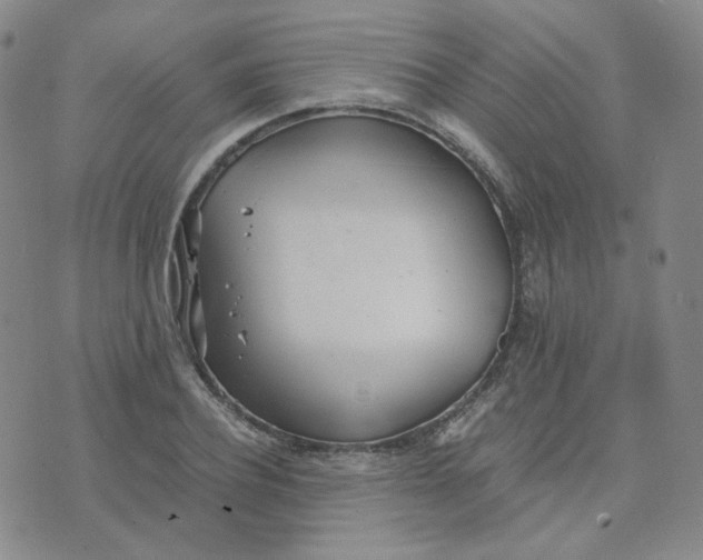 X0000076250932200610191645