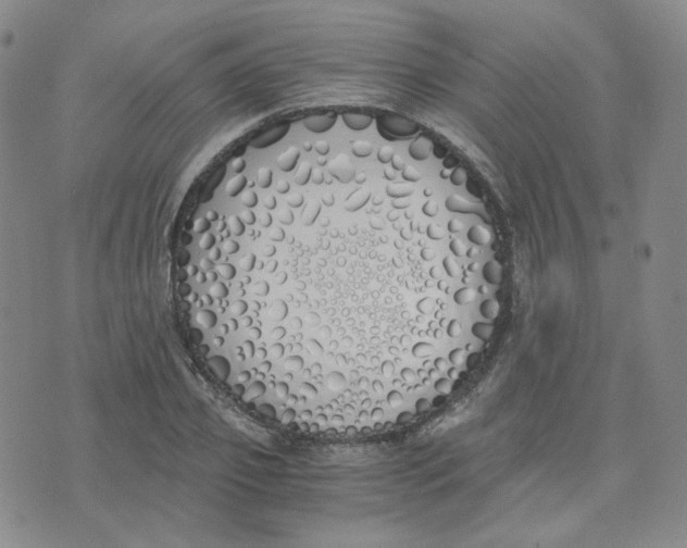 X0000076250933200610191645