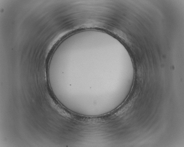 X0000076250934200610191645