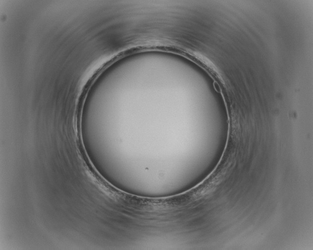 X0000076250935200610191645