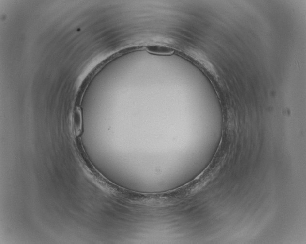 X0000076250936200610191645