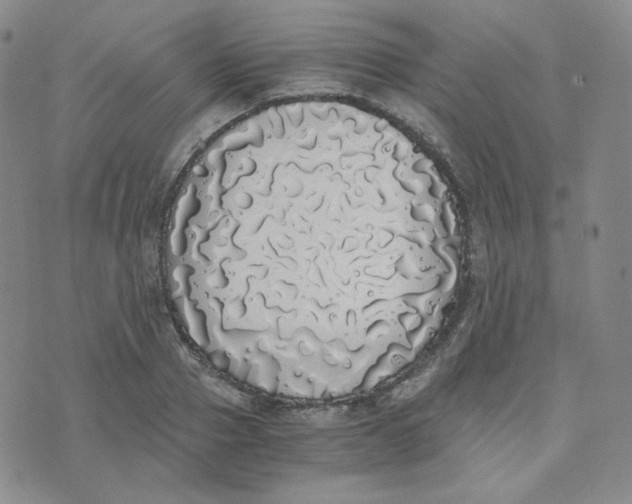 X0000076250937200610191645