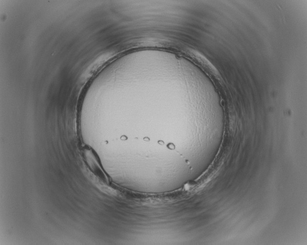 X0000076250938200610191645