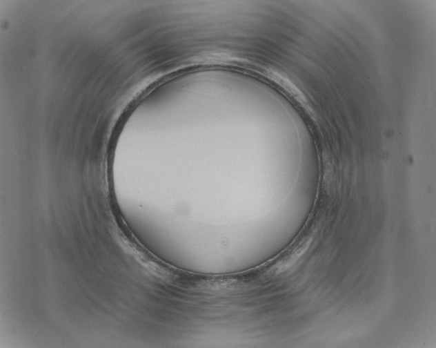 X0000076250939200610191645