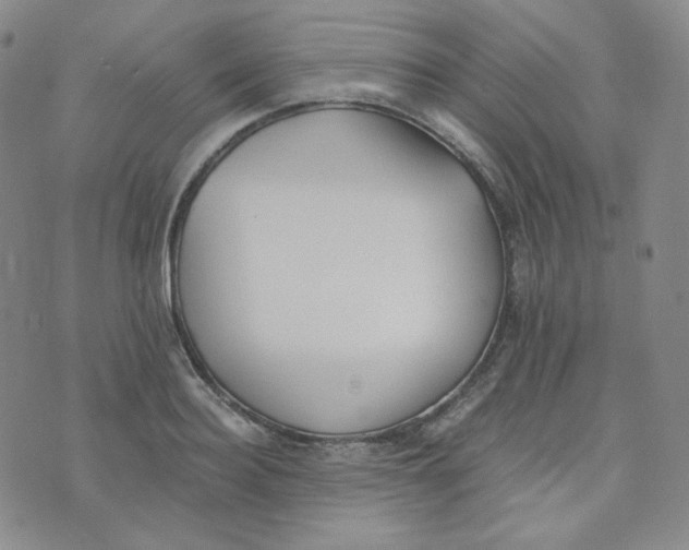 X0000076250940200610191645