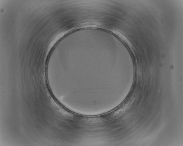 X0000076250941200610191645