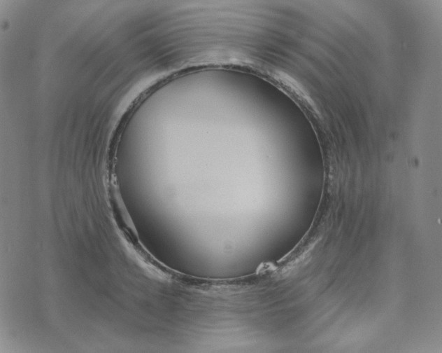 X0000076250942200610191645