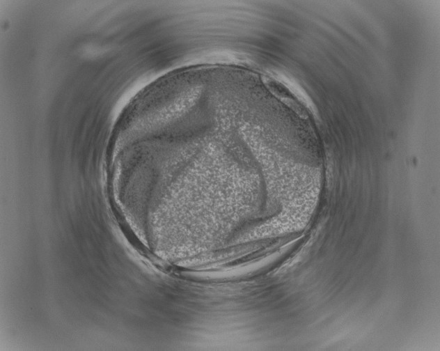 X0000076250944200610191645