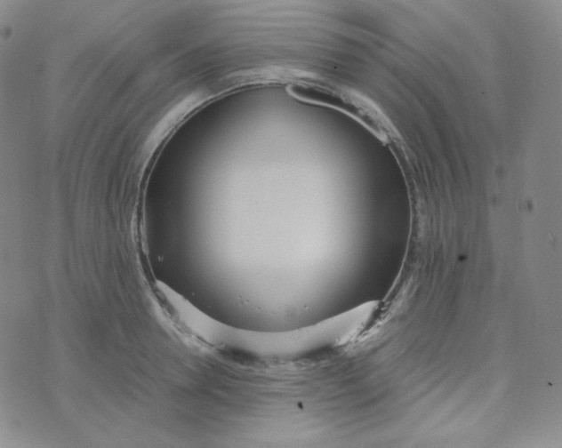 X0000076250946200610191645