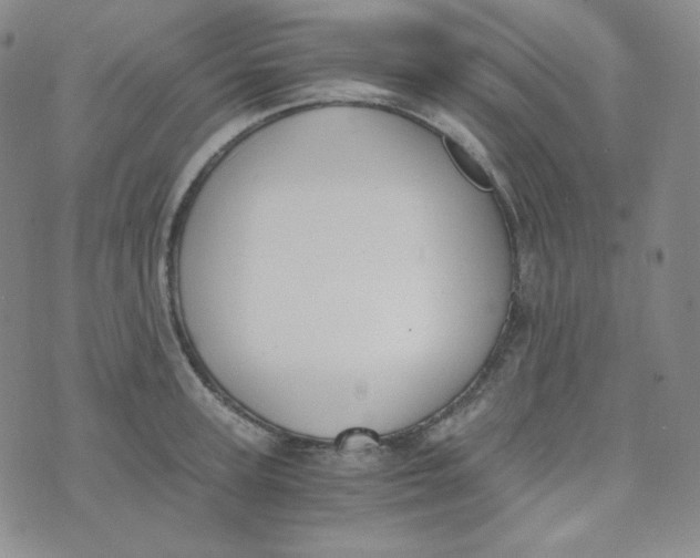 X0000076250947200610191645