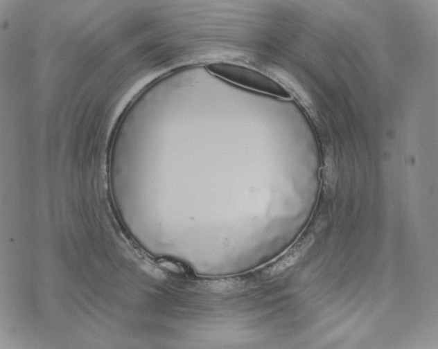 X0000076250948200610191645