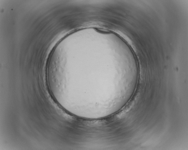 X0000076250949200610191645