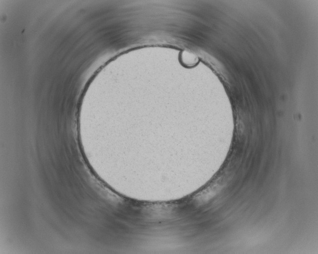 X0000076250950200610191645