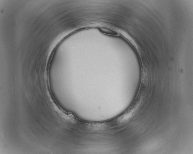 X0000076250951200610191645