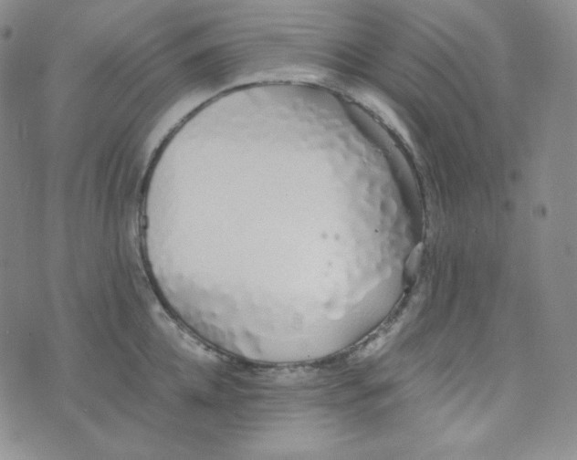 X0000076250952200610191645