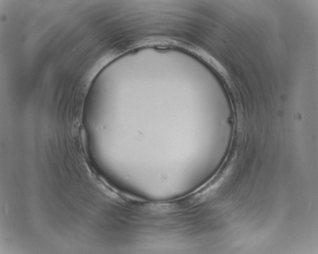 X0000076250953200610191645