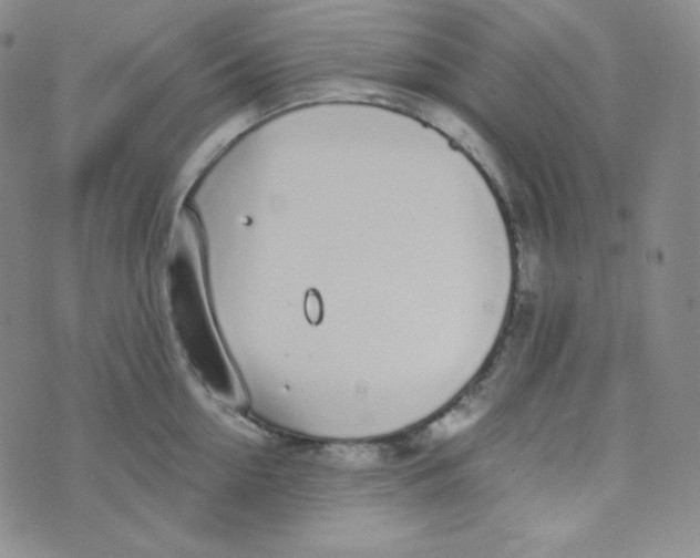 X0000076250954200610191645