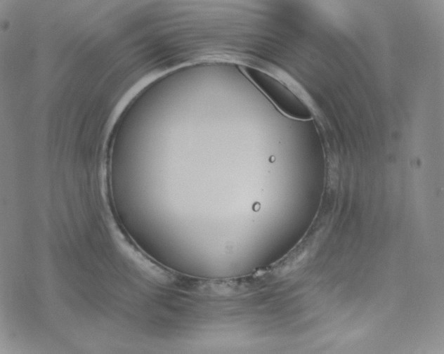 X0000076250955200610191645