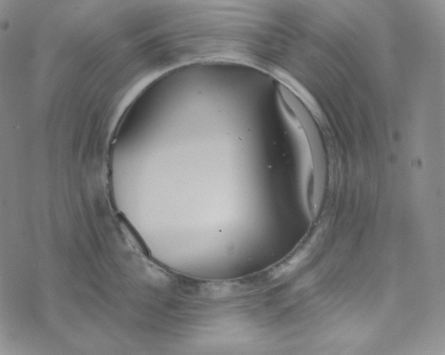 X0000076250956200610191645