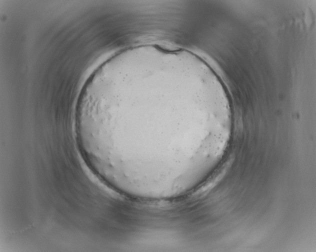 X0000076250957200610191645