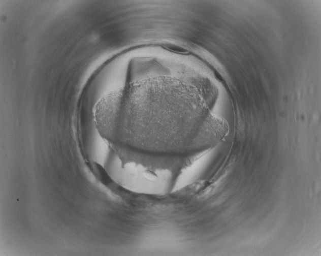 X0000076250958200610191645