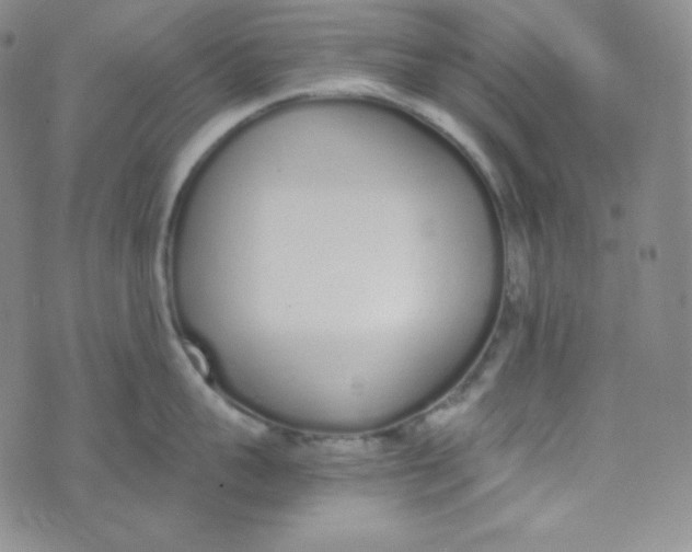 X0000076250959200610191645