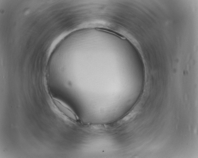 X0000076250960200610191645