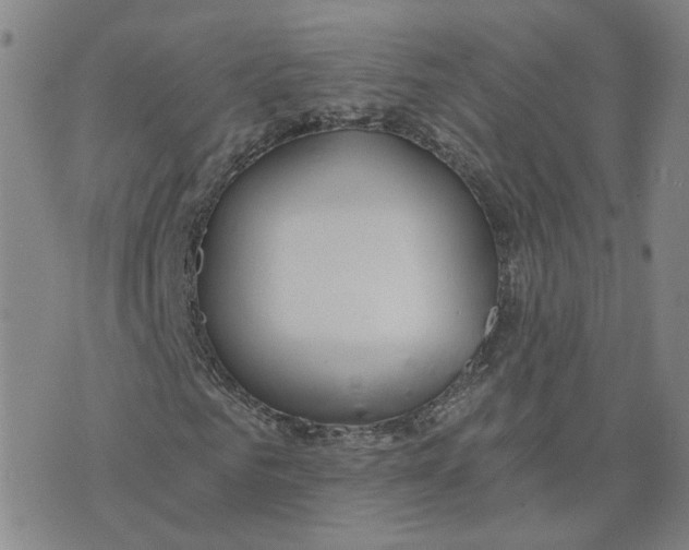 X0000076250961200610191645