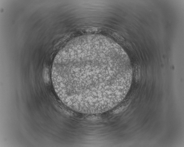 X0000076250962200610191645