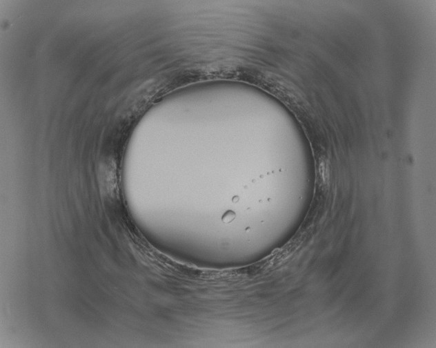 X0000076250963200610191645