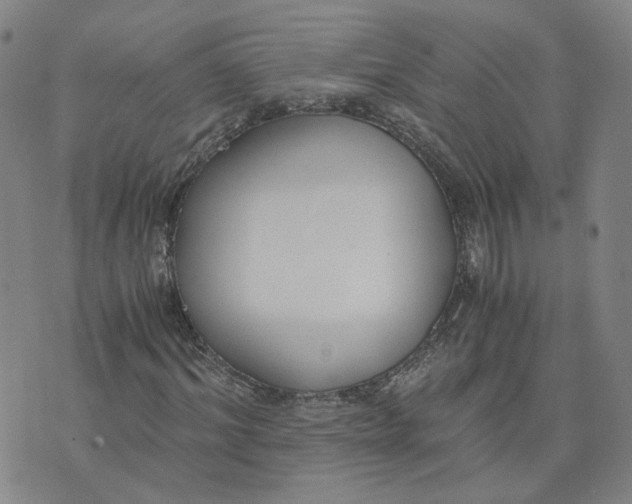 X0000076250964200610191645